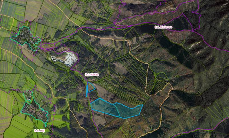 Rakša - 725,370,474png.png