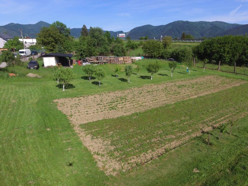 DJI_0087.JPG